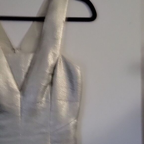 * * ROBERT RODRIGUEZ Silver Party Dress - Picture 4 of 9